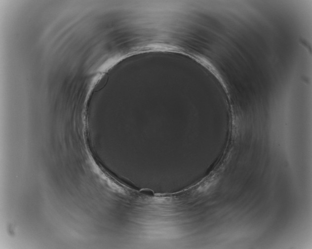 X0000101981381200808081604