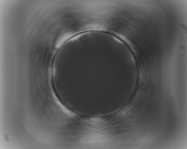 X0000101981383200808081604