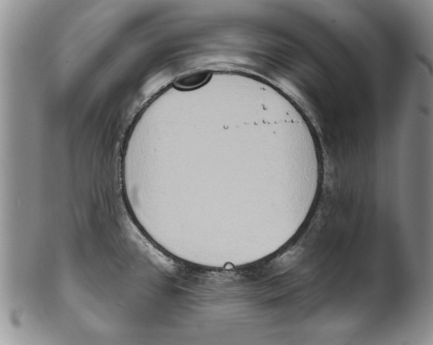 X0000101981384200808081604