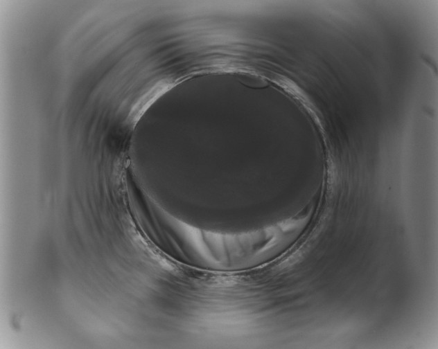 X0000101981385200808081604