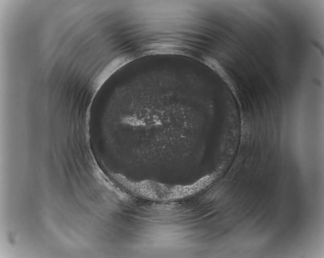 X0000101981386200808081604