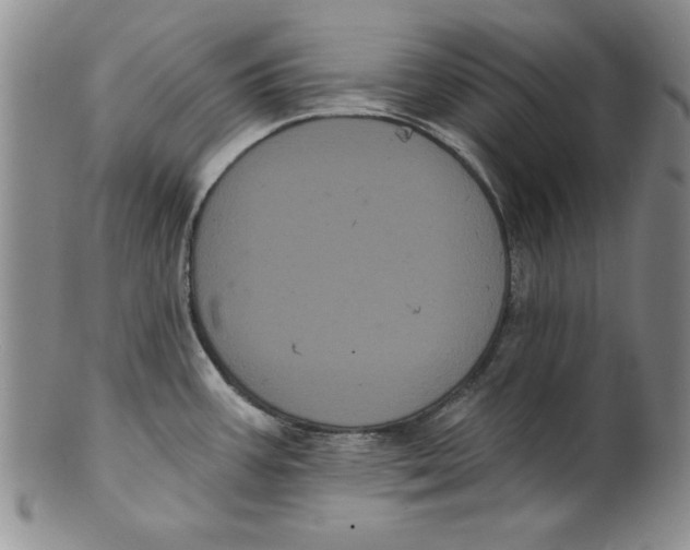 X0000101981387200808081604