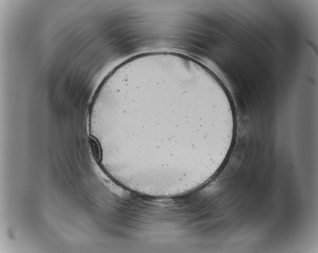 X0000101981388200808081604