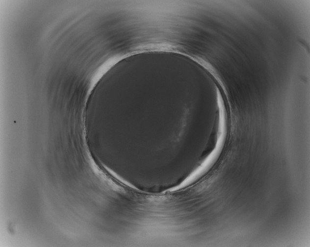 X0000101981389200808081604