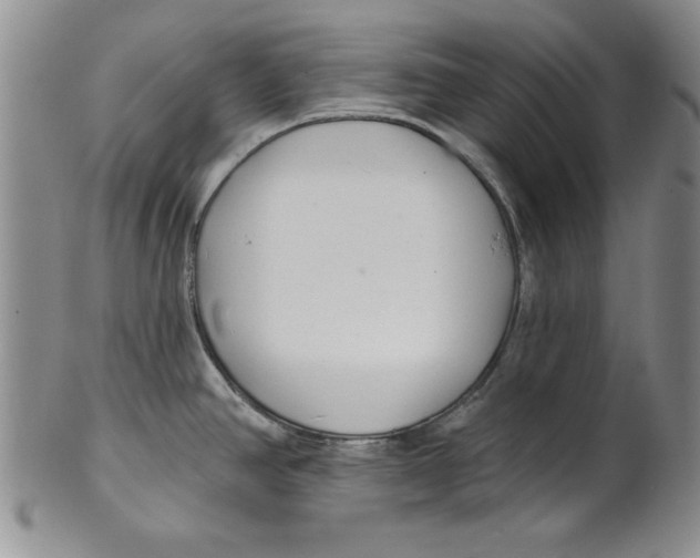 X0000101981390200808081604