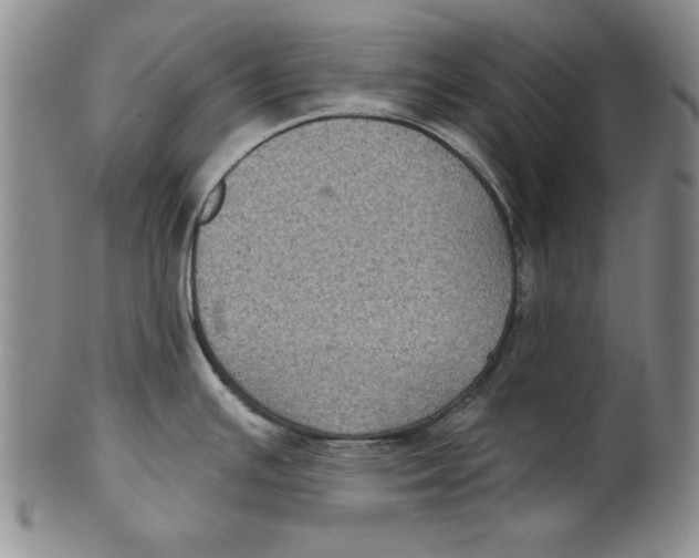 X0000101981391200808081604