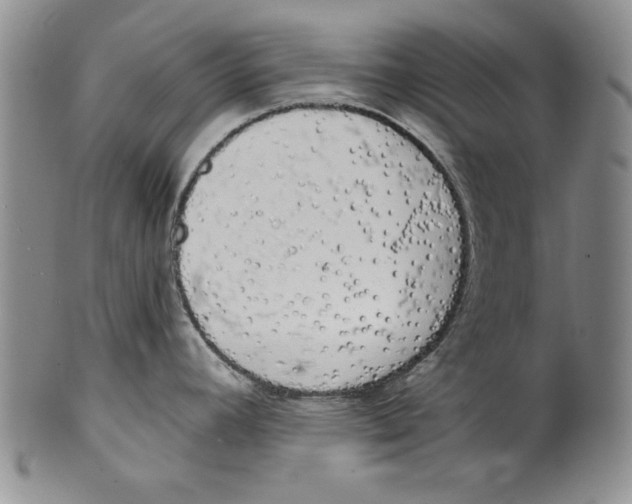 X0000101981392200808081603