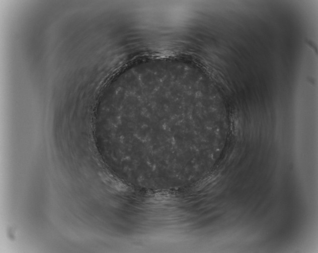 X0000101981393200808081603