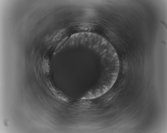 X0000101981394200808081603