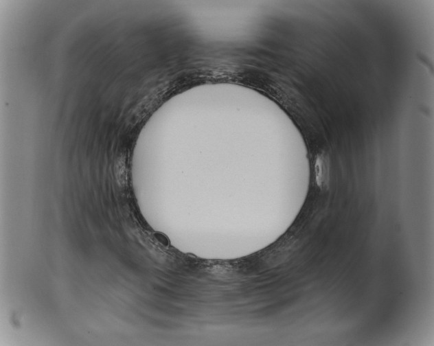 X0000101981395200808081603