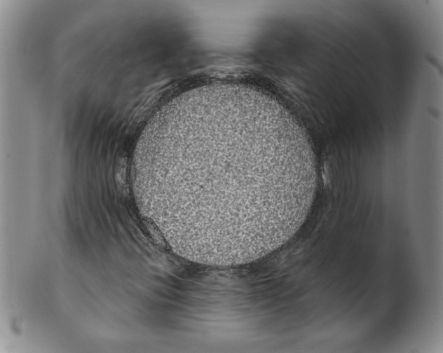 X0000101981396200808081603