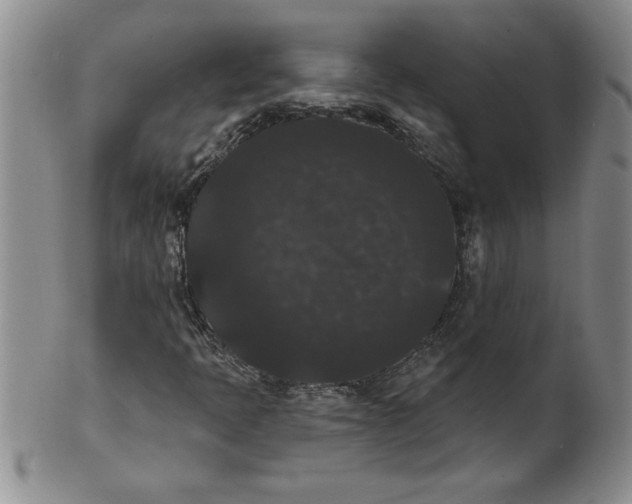 X0000101981397200808081603