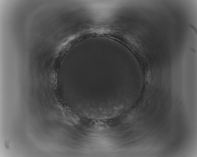 X0000101981398200808081603