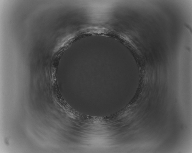 X0000101981399200808081603