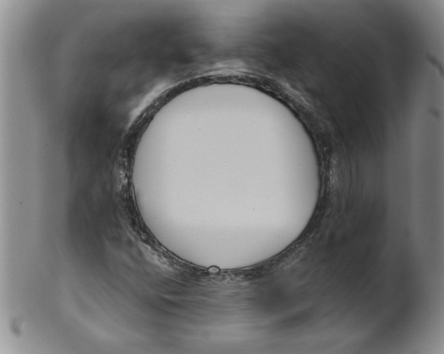 X0000101981400200808081603