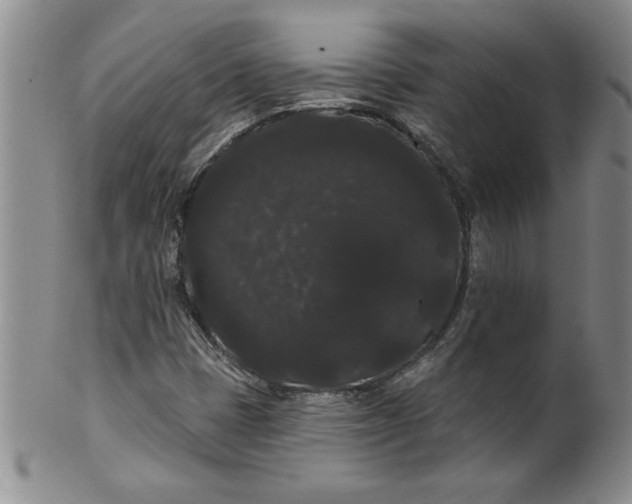 X0000101981401200808081603