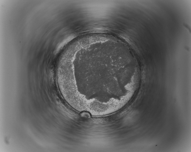 X0000101981402200808081603