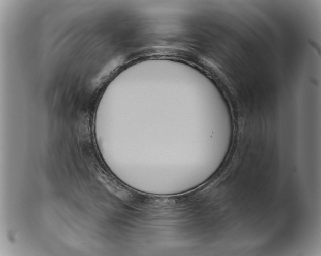 X0000101981403200808081603