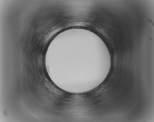 X0000101981404200808081603