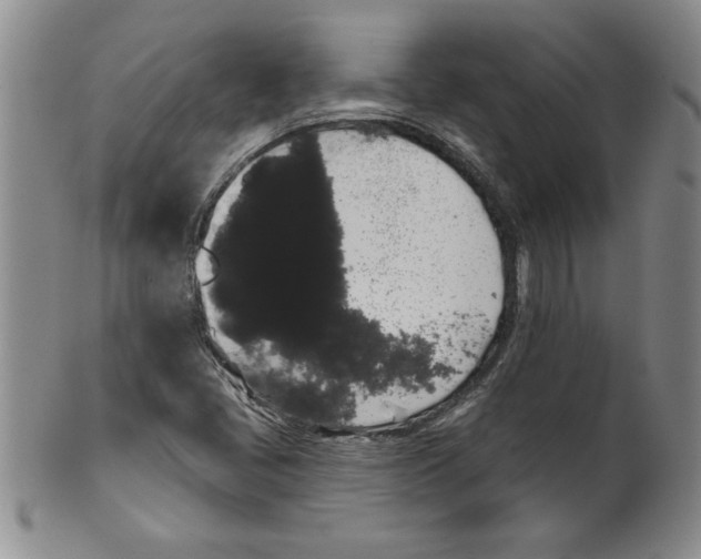 X0000101981405200808081603