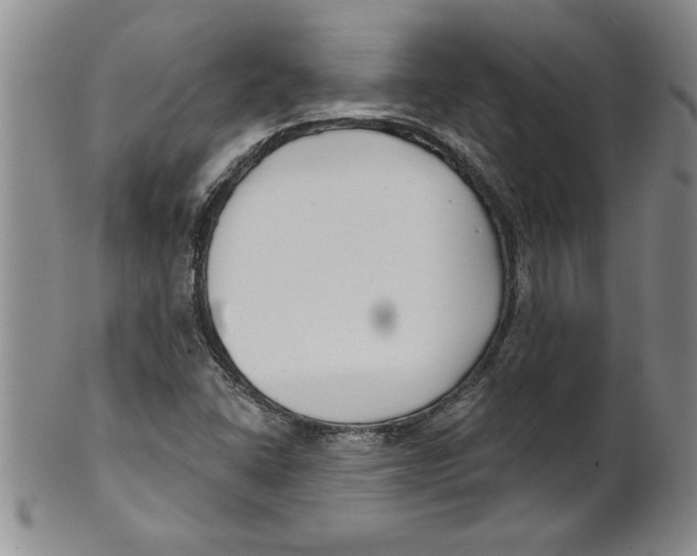 X0000101981406200808081603