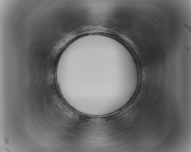 X0000101981407200808081603