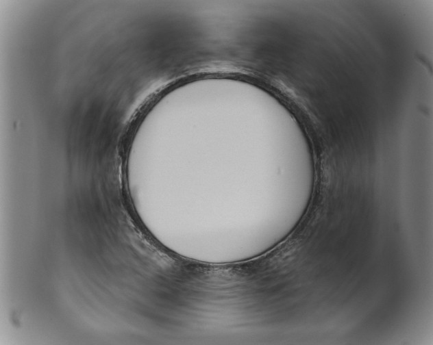 X0000101981408200808081603