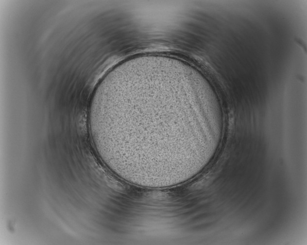 X0000101981409200808081603