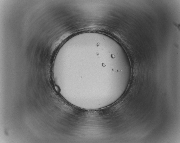 X0000101981410200808081603