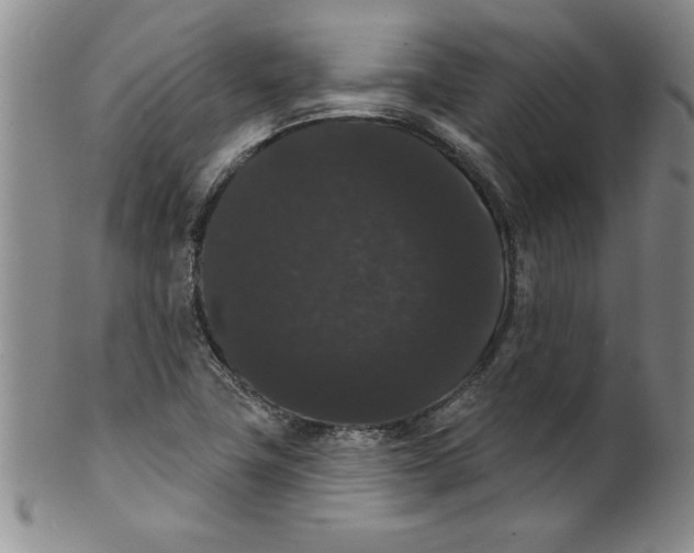 X0000101981411200808081603