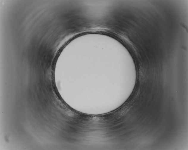 X0000101981412200808081603