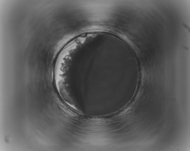 X0000101981413200808081603