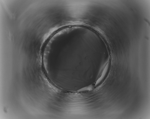 X0000101981414200808081603