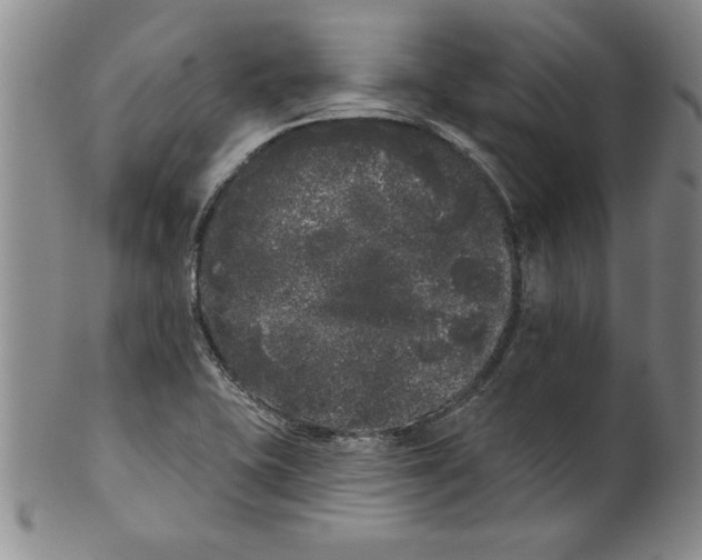 X0000101981415200808081603