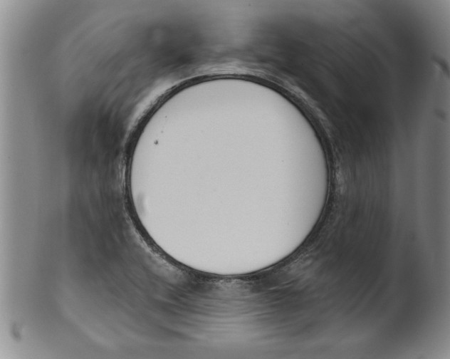 X0000101981416200808081603