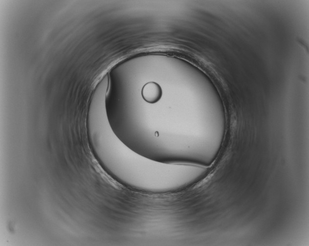 X0000101981417200808081603