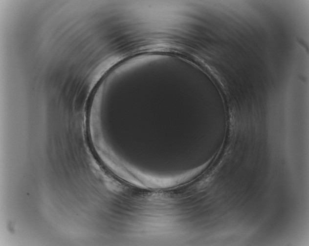 X0000101981418200808081603