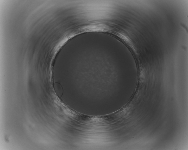 X0000101981419200808081603