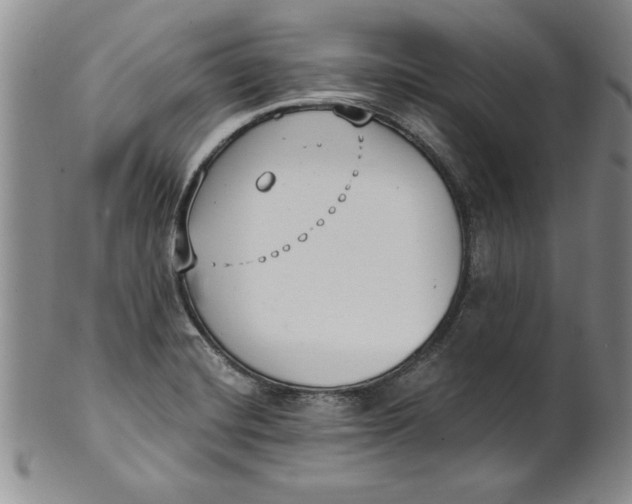 X0000101981420200808081603