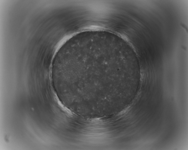 X0000101981421200808081603