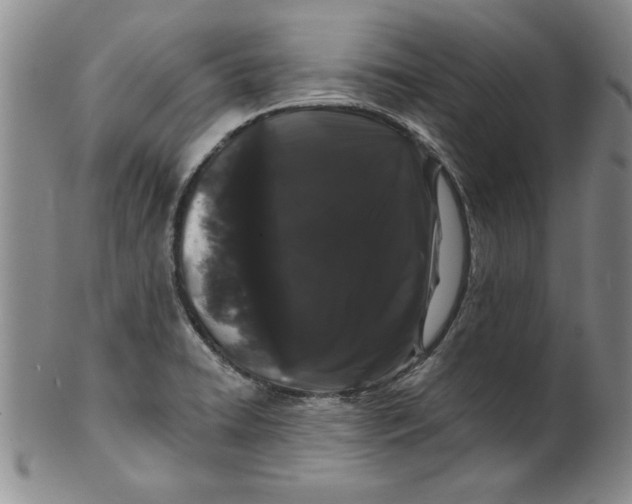 X0000101981422200808081603