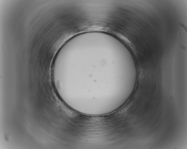 X0000101981423200808081603