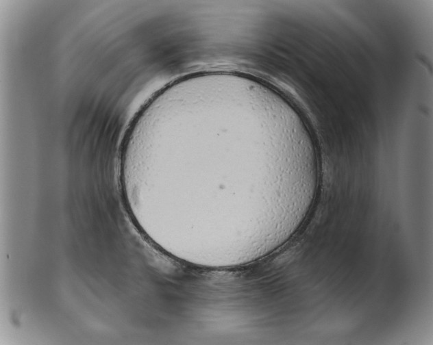 X0000101981424200808081603