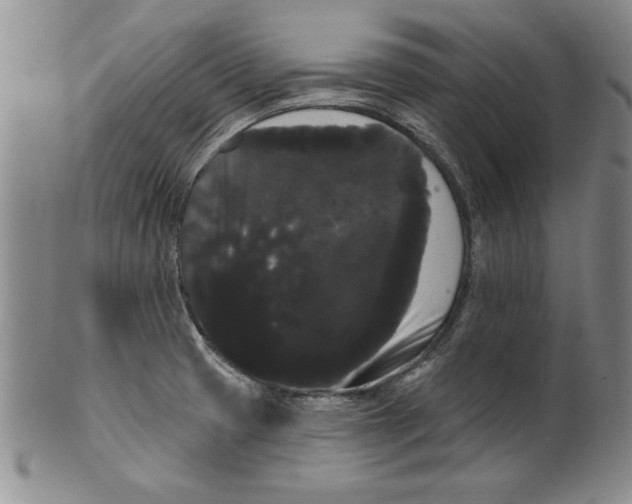 X0000101981425200808081603