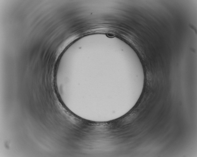 X0000101981426200808081603