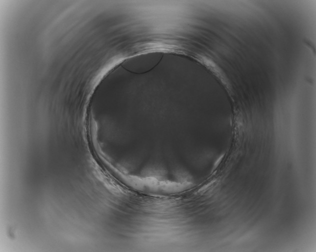 X0000101981427200808081603