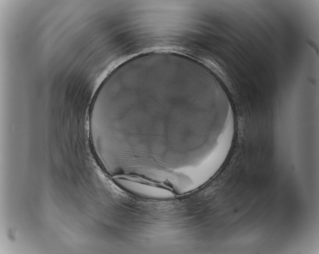 X0000101981428200808081603