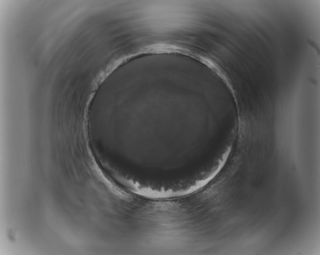 X0000101981429200808081603