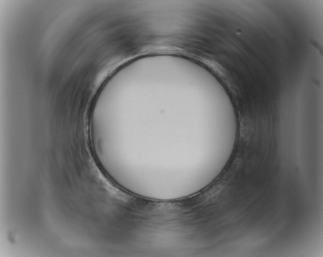 X0000101981430200808081603