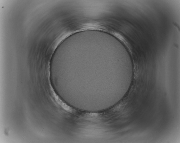 X0000101981431200808081603